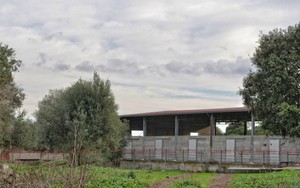 Ingrasso 1R.jpg
